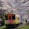 桜トレイン