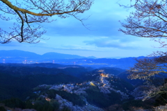 夜明けの千本桜