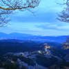 夜明けの千本桜