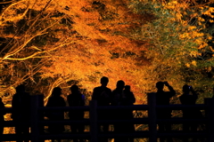 紅葉に照らされて