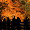 紅葉に照らされて