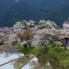 里山の春