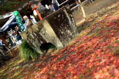  犬山 寂光院　紅葉