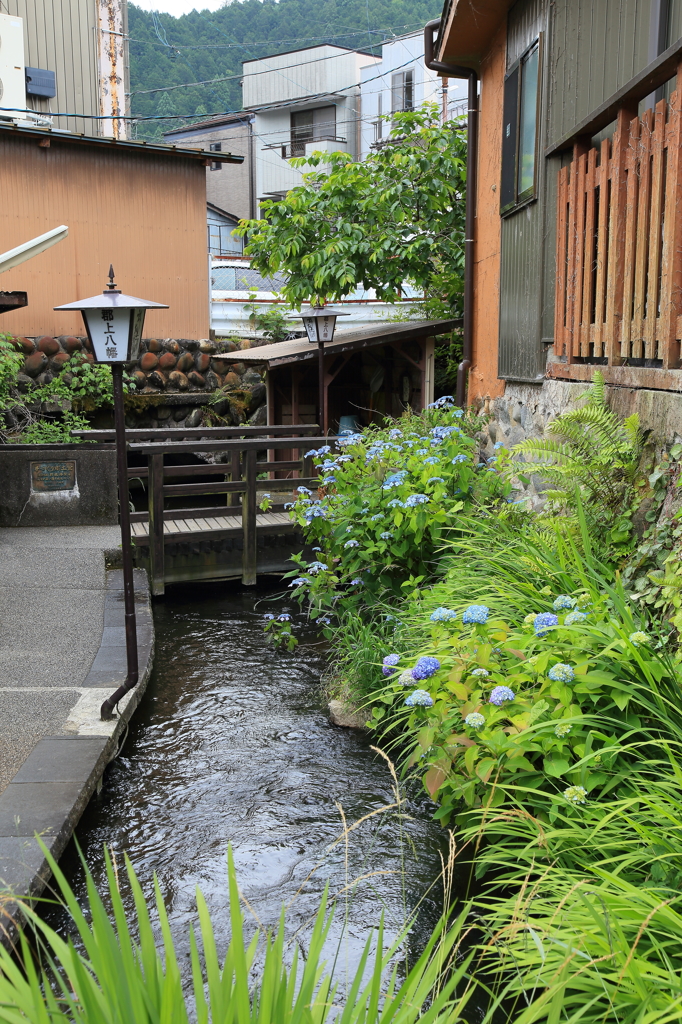 水のある町