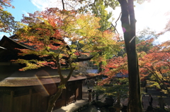 定光寺　紅葉