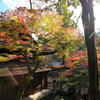 定光寺　紅葉