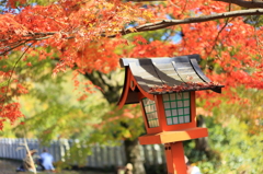  犬山 寂光院　紅葉