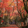 鶏足寺1