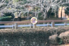もう一つの世界