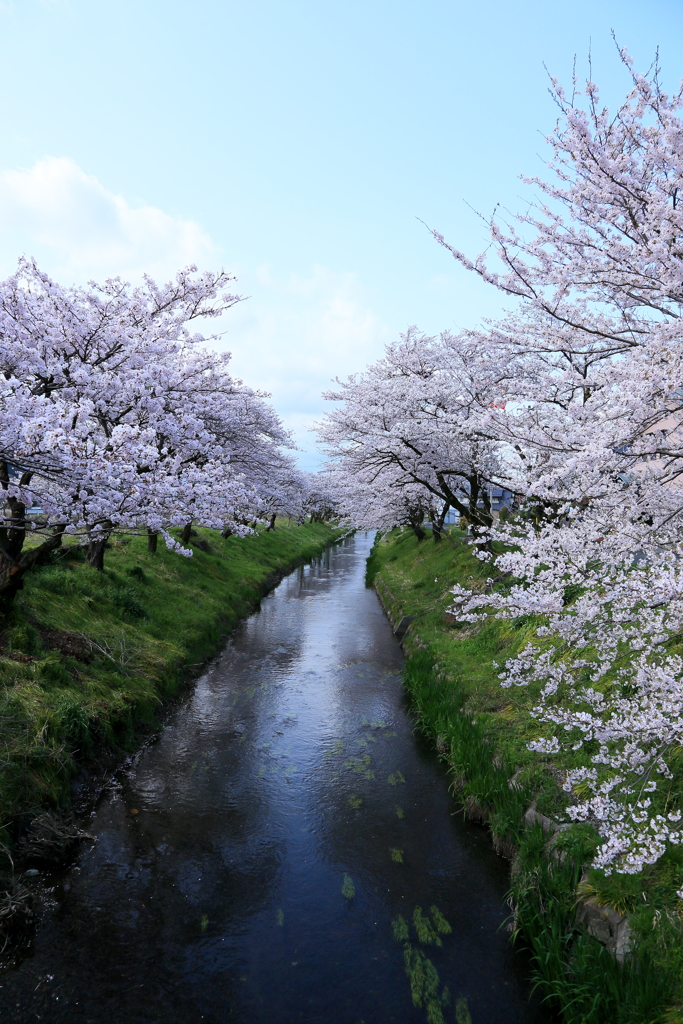 無名の地で