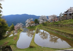 里山の春