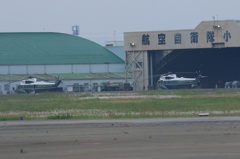念願のマリーンワン(VH-3D)！
