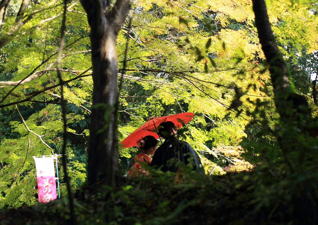  犬山 寂光院　紅葉