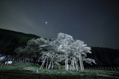 星空とともに・・・