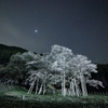 星空とともに・・・