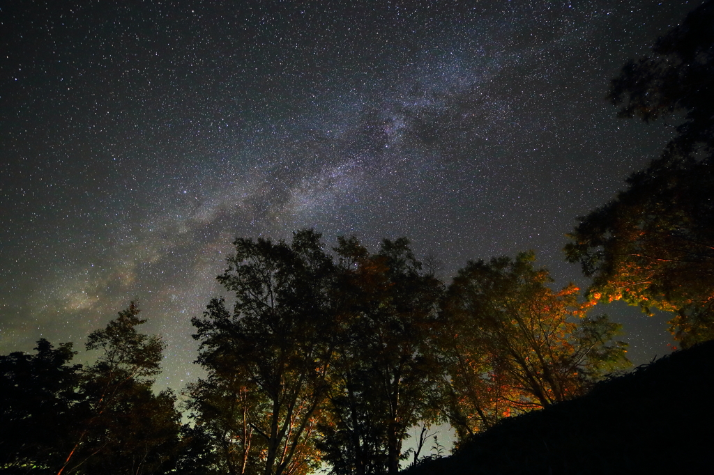 しらびそ高原の星空