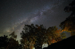 しらびそ高原の星空
