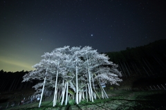 星空とともに・・・