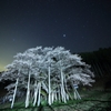 星空とともに・・・