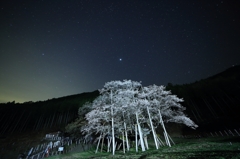 星空とともに・・・