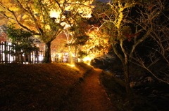 紅葉、香嵐渓、夜景