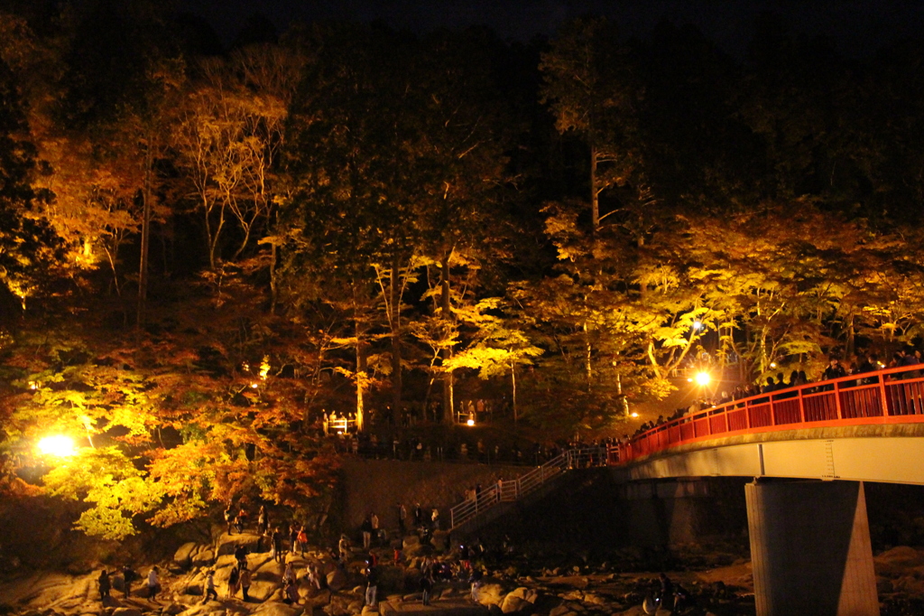 架け橋