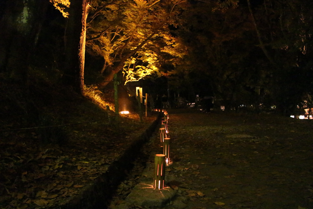 紅葉、香嵐渓、夜景