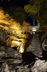 紅葉と石山寺