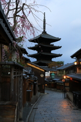 雨上がりの京の春