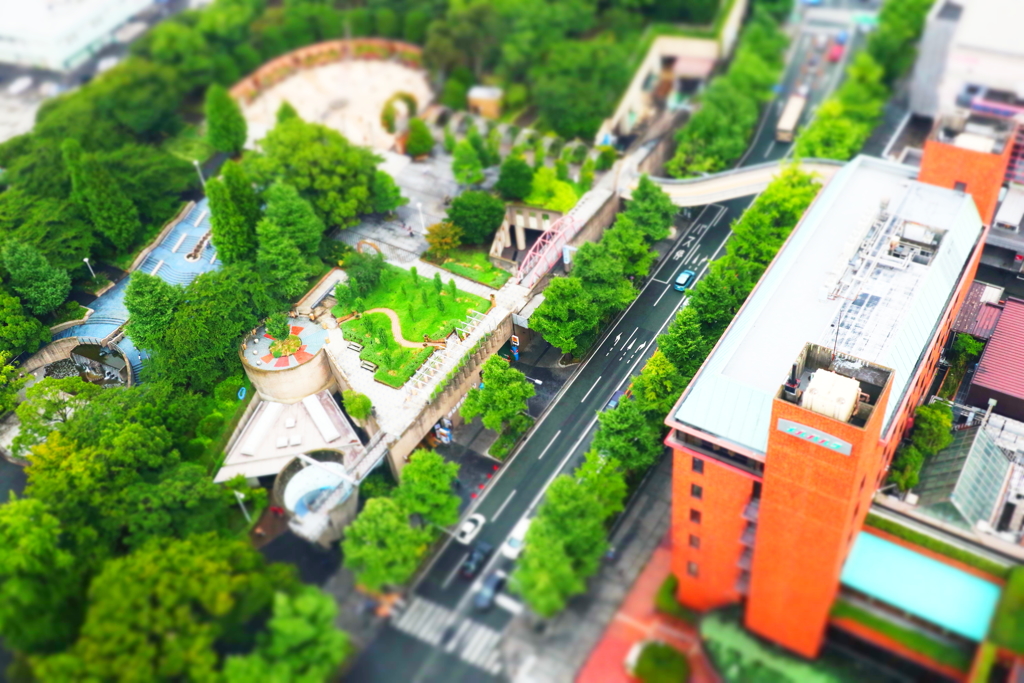 マリンタワーより山下公園を俯瞰す