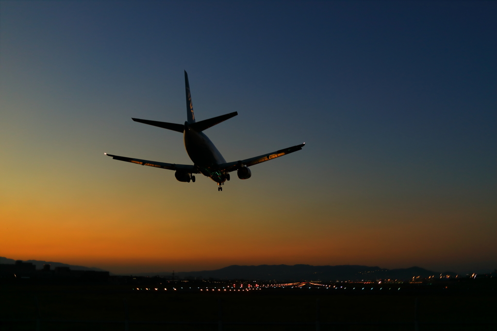 arrival