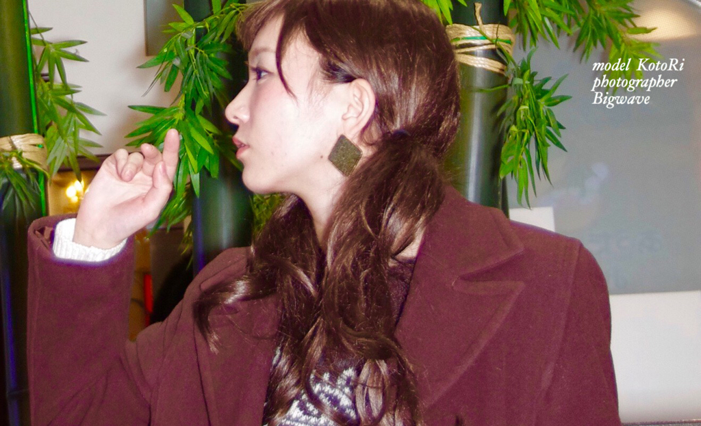 image Kotori031