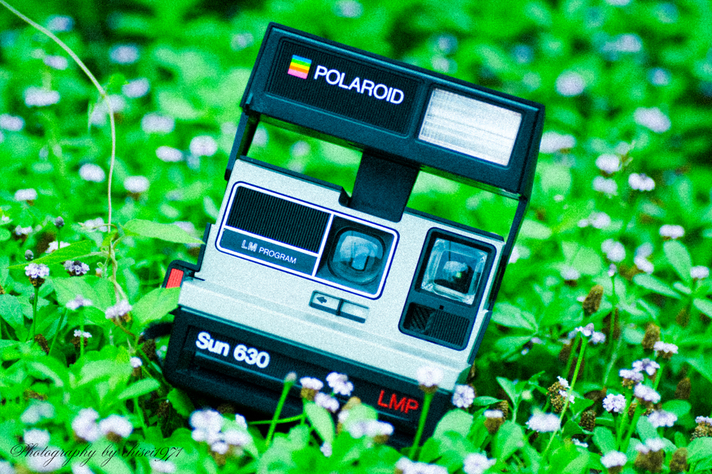 Polaroid nostalgia