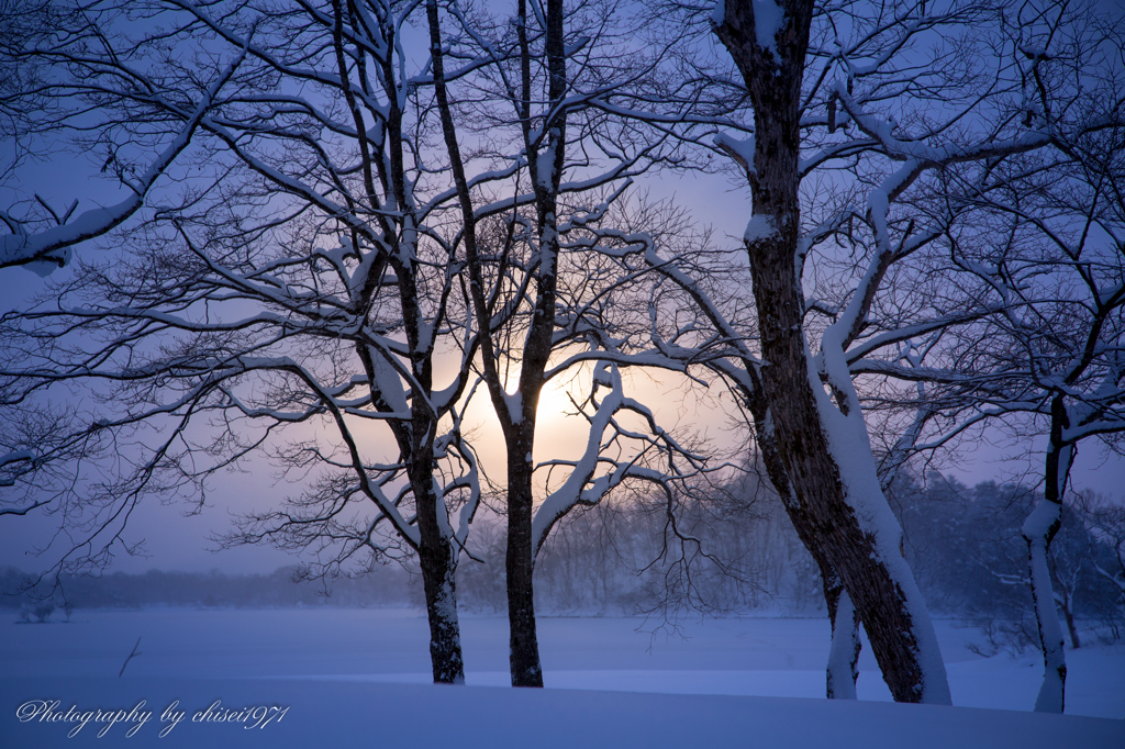 雪景Ⅲ