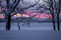 雪景Ⅱ