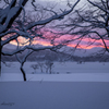 雪景Ⅱ