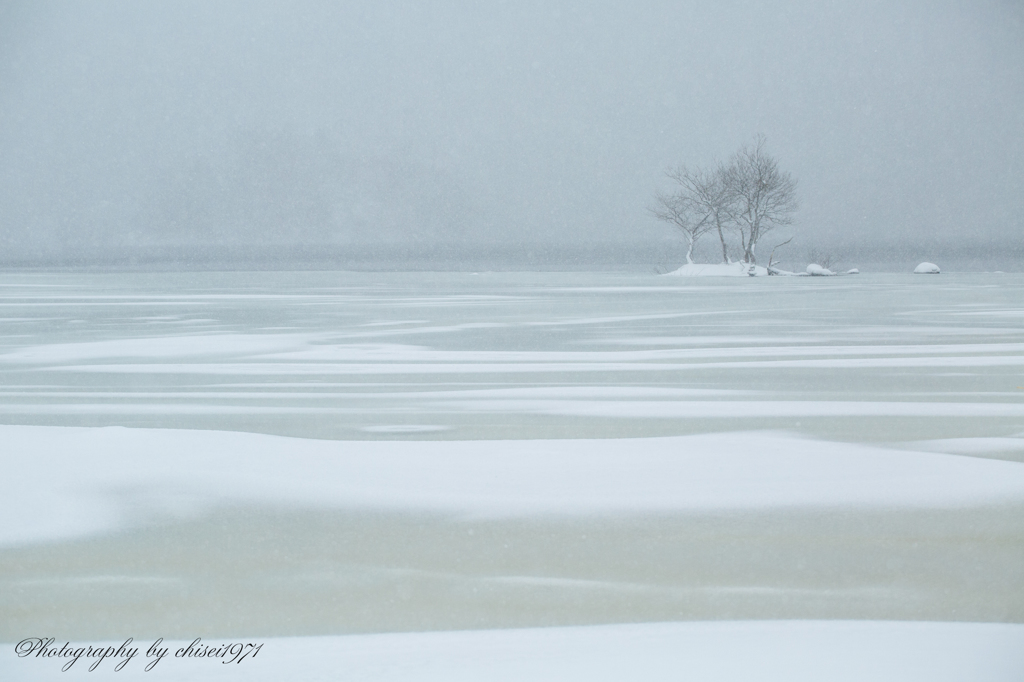 Wavelet