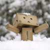 はじめての雪にはしゃぐマイダンボー。