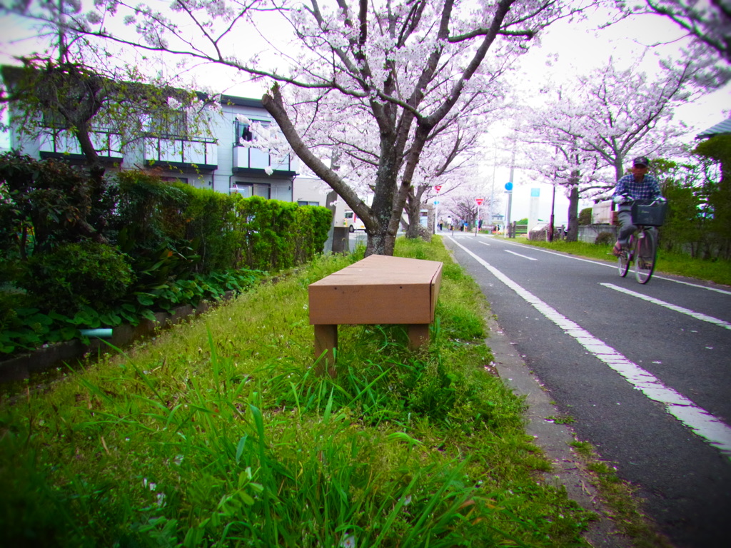ベンチ
