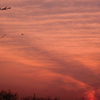 夕雲