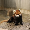 市川動植物園