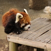 市川動植物園