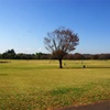 紅葉＠昭和記念公園