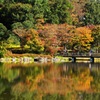 紅葉＠昭和記念公園