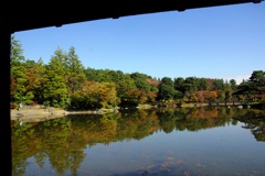 紅葉＠昭和記念公園