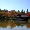 紅葉＠昭和記念公園