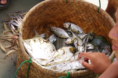 Lingayen beach 10