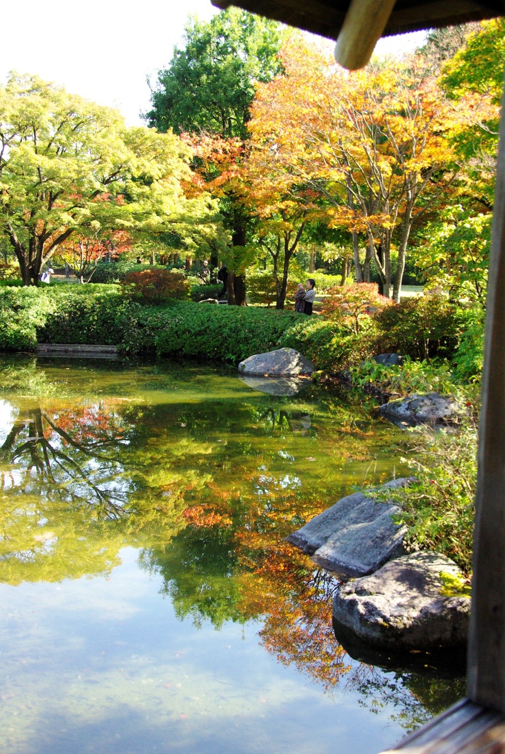紅葉＠昭和記念公園