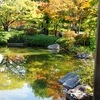 紅葉＠昭和記念公園
