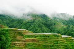 Rice terraces in Banaue 8